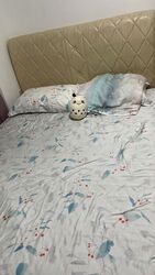 Blk 88 Skyville @ Dawson (Queenstown), HDB 4 Rooms #511273851